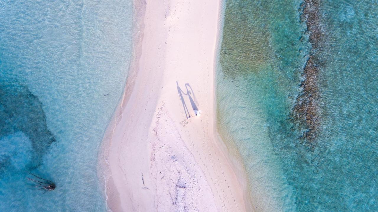 Palm Lodge Thulusdhoo Exteriér fotografie